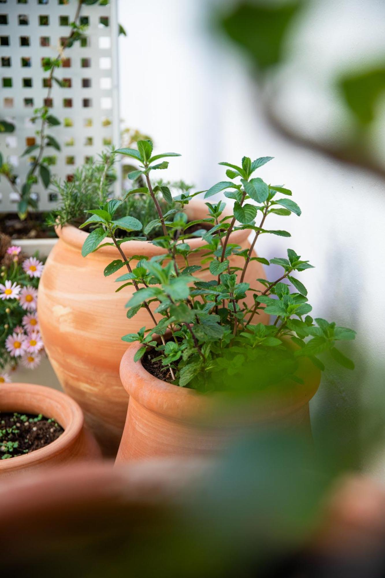 Tortolì Domu Qirat - Authentic Rooms & Terraces מראה חיצוני תמונה